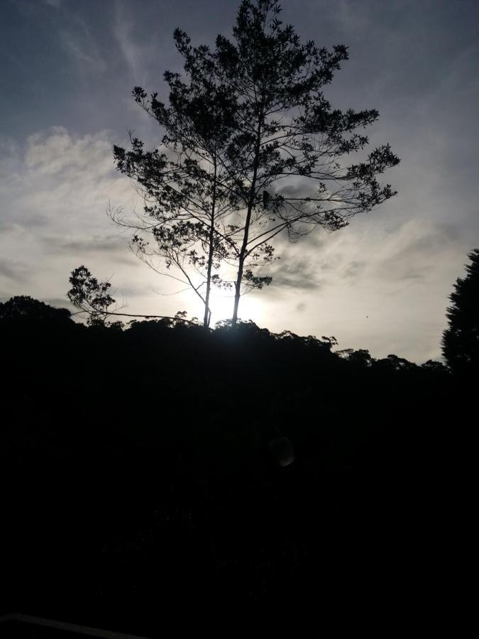 Quinta Los Volcanes Turrialba Eksteriør billede