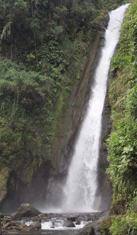 Quinta Los Volcanes Turrialba Eksteriør billede