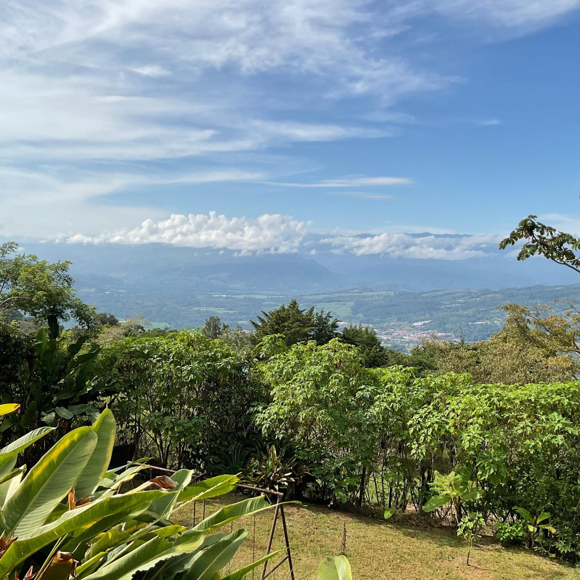 Quinta Los Volcanes Turrialba Eksteriør billede