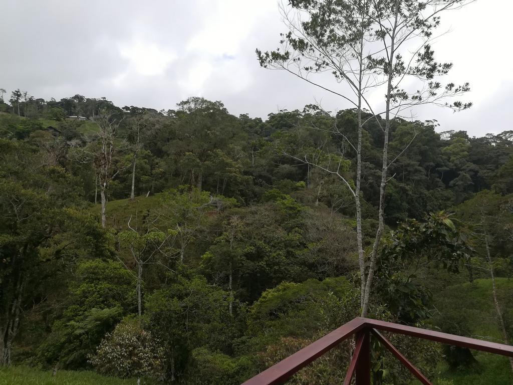 Quinta Los Volcanes Turrialba Eksteriør billede